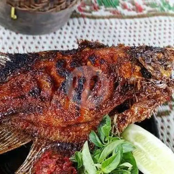 Ikan Bakar | Lalapan Seafood Ayam dan Ikan Bakar Selera Kita, WR. Supratman