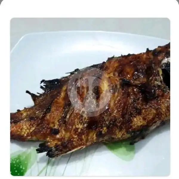 Ikan Kakap Bakar + Nasi | Spesial Bakar Chaniago