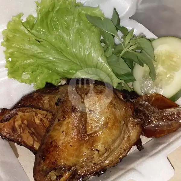 Dada Goreng | Ayam Bakar Mak Bo, Ngesrep