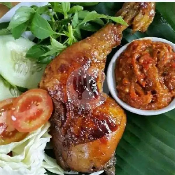Nasi + Ayam Panggang | Darplok Lek Nur Cabang Rogojampi, Karimata Jember