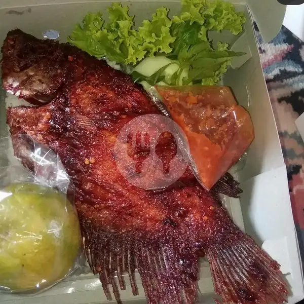 Penyetan/Bakar Gurami Besar Free Lalapan Free Nasi | Seafood Jontor Nia, Mulyorejo