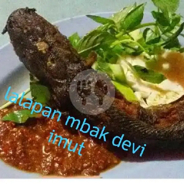 Paket Lele Penyet | Lalapan Mbk Devi Imut, Magersari