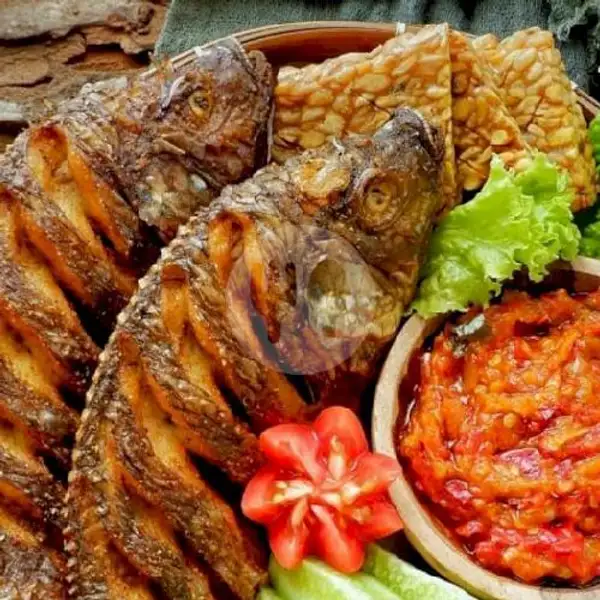 PAKET IKAN NILA DAN LELE | Lalapan dan Seafood Lestari, Padangsambian Klod