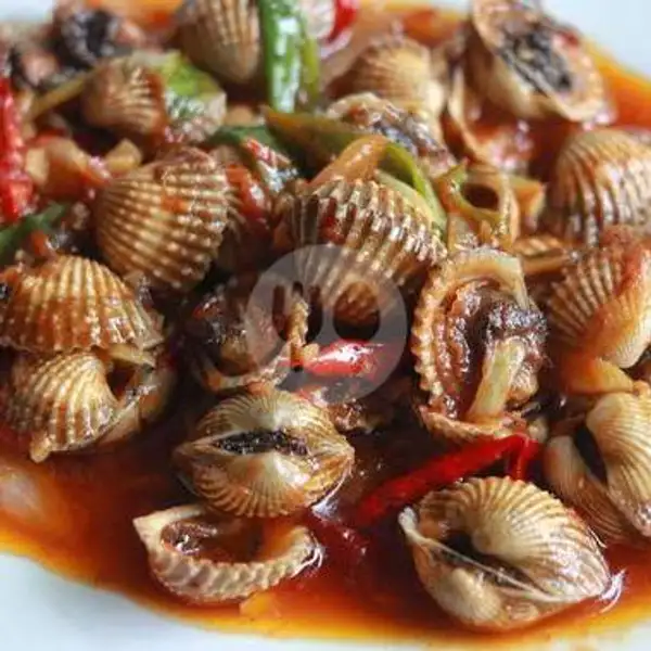 Kerang Dara Saus Tiram | Seafood Dinar 79
