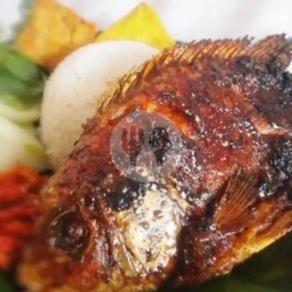 Ikan Mujair Bakar + Nasi | Lalapan Sidomulyo Cong Wildan, Tukad Batanghari