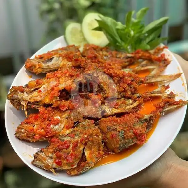 Ikan Kembung Banjar Pedas | Ayam Paru Cumi Mercon Nonie Kitchen, Aceh