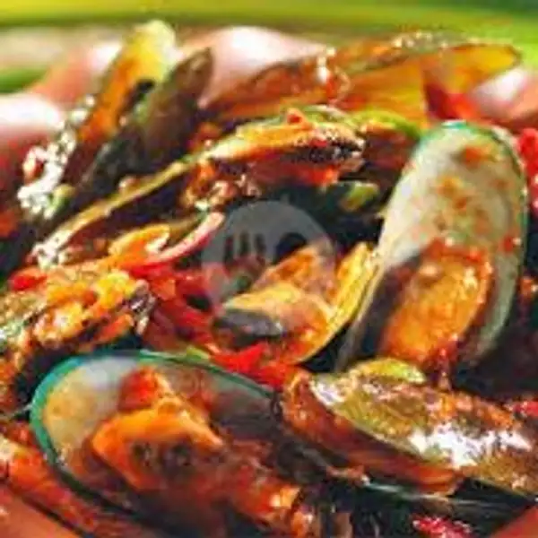 kerang ijo saos padang | Bandar 888 Sea food Nasi Uduk