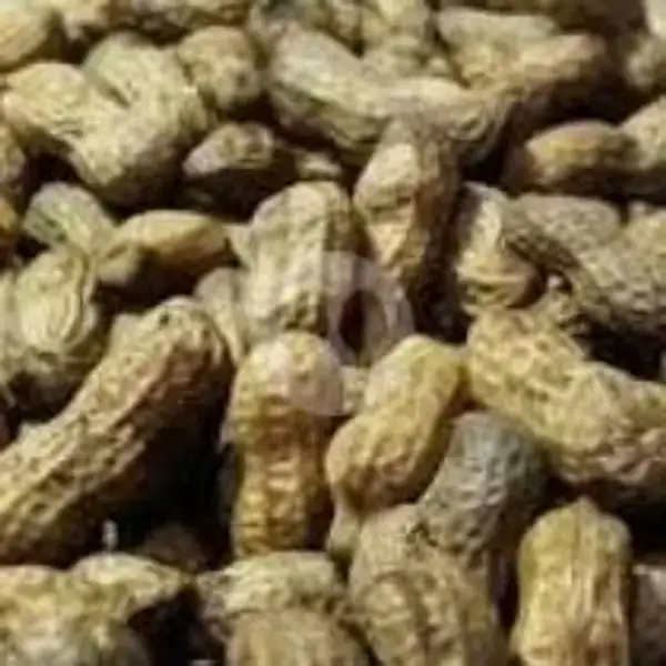 Kacang Tanah Rebus Gurih(250 gram) | NASI GORENG GS, Gang Slamet