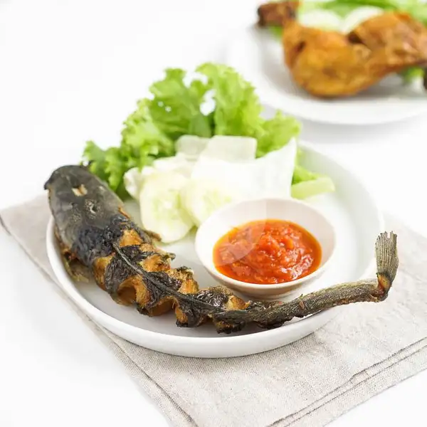 Lele Goreng | Ayam Bakar Bejo, Way Kandis