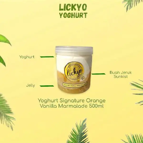 Yoghurt Orange Vanilla Marmalade Signature 500ML | LickYo Creamy Yoghurt, Reog