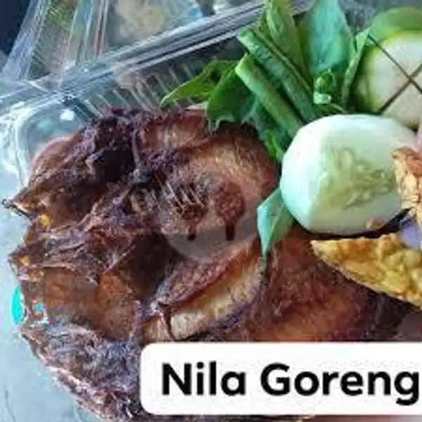 Nila Goreng + Lalap + Tahu Tempe + Sambal + Nasi | Pecel Lele Mas Ndut, Bukit Raya