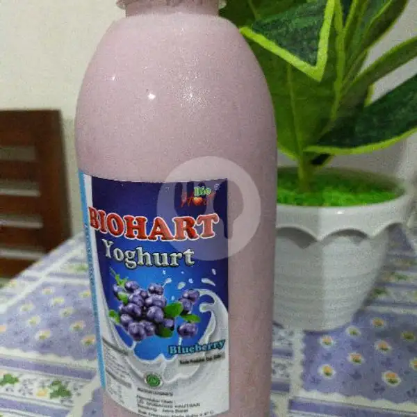 Yoghurt 1 Liter Rasa Blueberry | Yoghurt BIOHART Pondok Kelapa