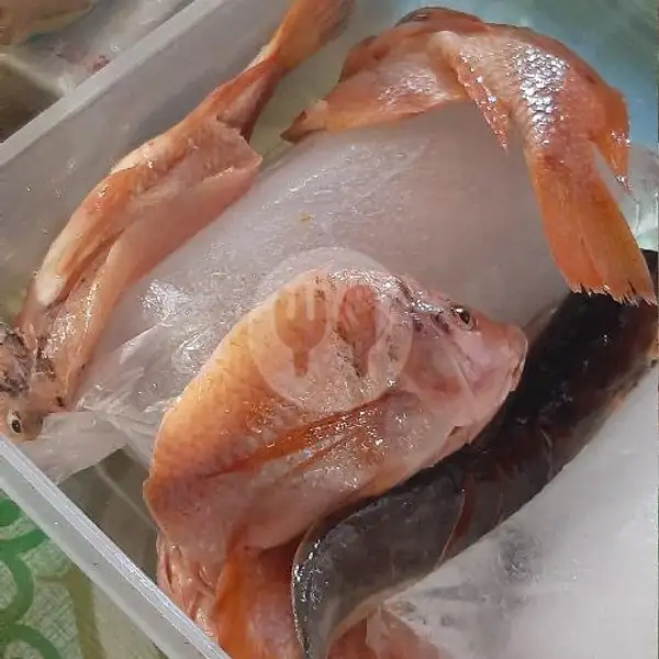 Ikan Nila | Ayam Goreng Sambal Receh, Tanah Abang