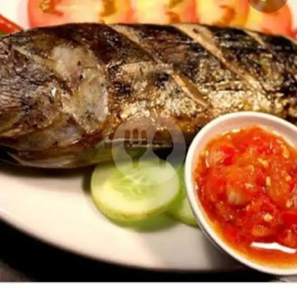 Lalapan Ikan Tongkol | Bali Seneng