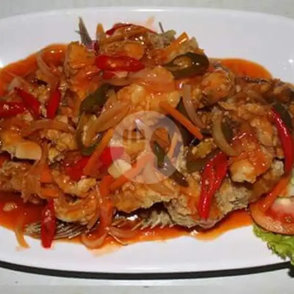 Gurame Saus Tiram | Sea Food 48 Padalarang, Padalarang