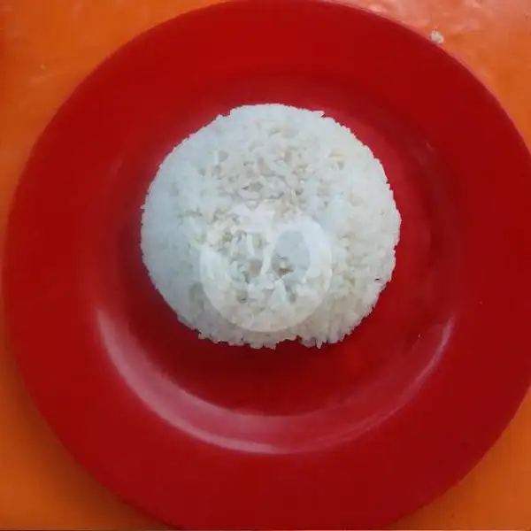 nasi putih | Bandar 888 Sea food Nasi Uduk