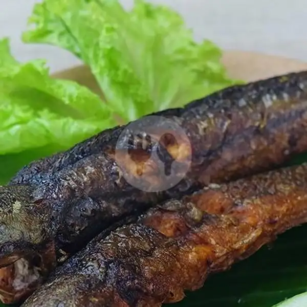 paket ikan lele penyet sambel ndower | Penyet Kedung Mundu, Semarang