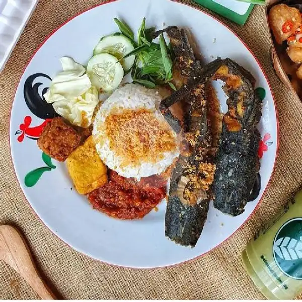 Nasi Penyetan Lele | Seafood Jontor Nia, Mulyorejo