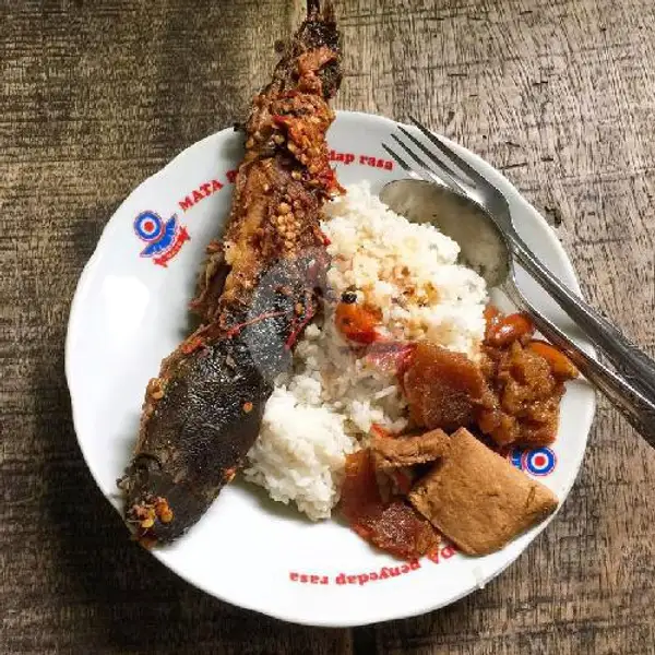 Nasi Rames Ikan Lele Goreng | Warteg Aditya 24 Jam, Gunung Pati