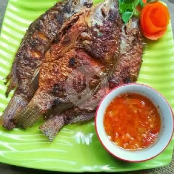 Paket Nila Goreng Sambl Matah | Rex Ayam Geprek, Subang Kota