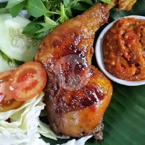 Ayam Bakar Saus Keju | Ayam Suka-Suka Ratu Bilqis, Taman Mini