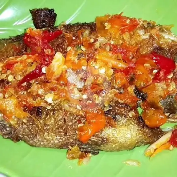 Ikan Jangki Bakar Penyet | Lalapan dan Seafood Lestari, Padangsambian Klod