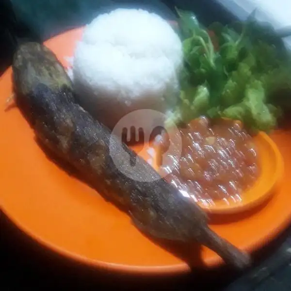 Lele Goreng + Nasi | Ayam Bakar Pondok Pratiwi, Kebon Kacang