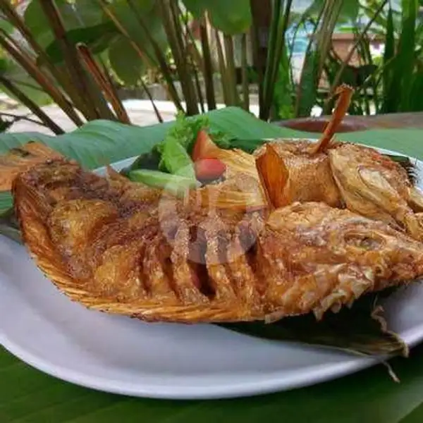 Nila Merah Goreng | Pecel Lele Kawi Kawi, Kawi Kawi