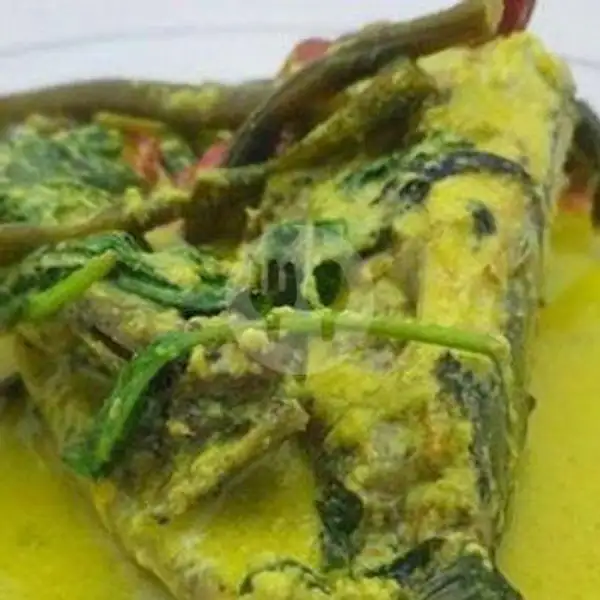 Nasi Gulai Kepala Ikan Tuna | Nasi Padang Sari Rasa (Spesial Ayam Pop & Rendang Daging), Sawojajar