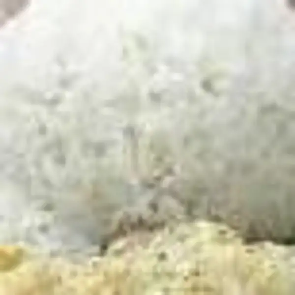 Nasi Putih | Geprek Gensu Ayam Bebek Boss, Grogol