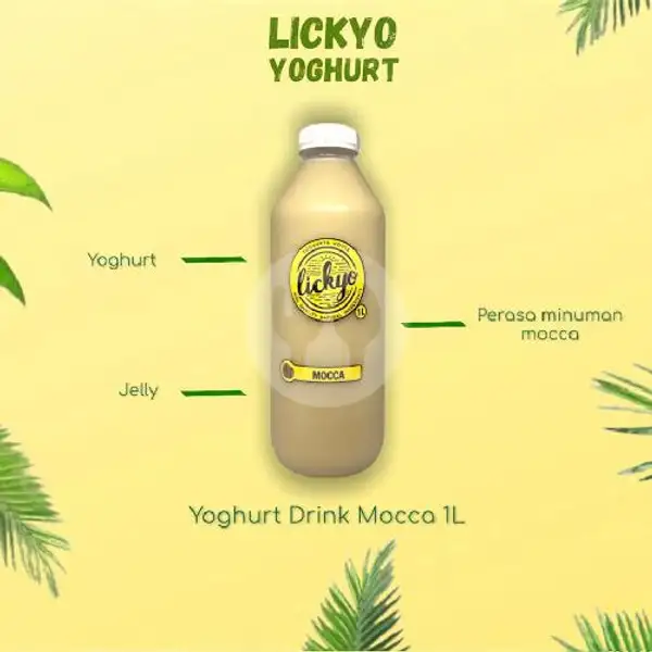 Yoghurt Drink Mocca 1L | LickYo Creamy Yoghurt, Reog