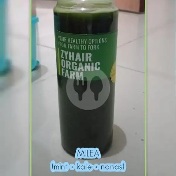 (Antioksidan Booster) Mint Kale Nanas | Donat Keluarga,  Melatiwangi