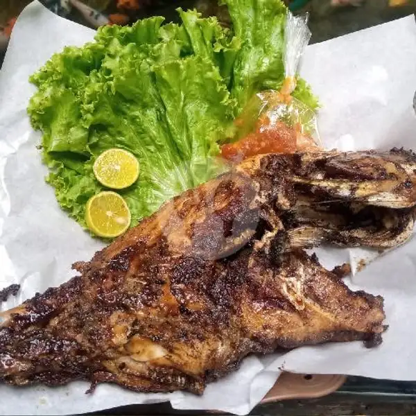 Ikan Laut Bakar  Etong / Ayam-ayam 400-500g With Rempah | Dapur Kreasi Ayah&Ibu, Sekeloa