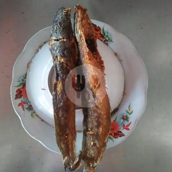 Ikan Lele Kremes | Masakan Padang Sari Raso Murah Meriah, Genteng Biru