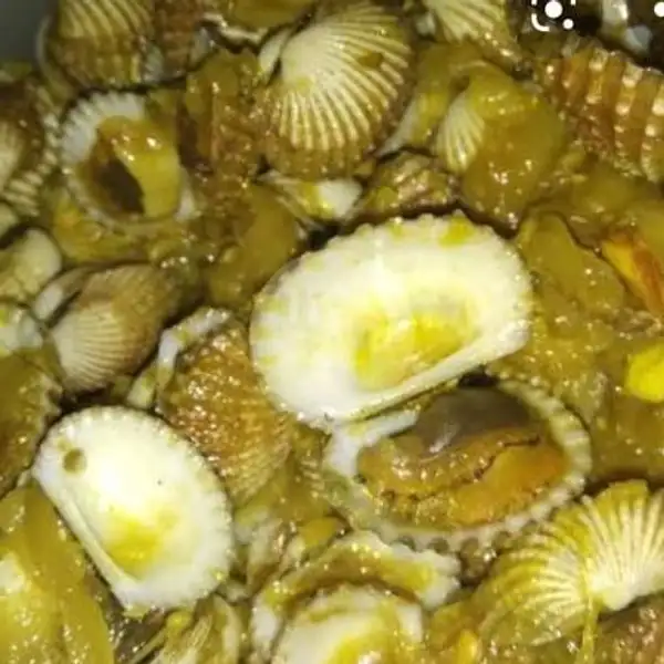 Kerang Dara Saos Tiram | Cak Toge Seafood Dan Lalapan, Jl.pospat No.43b