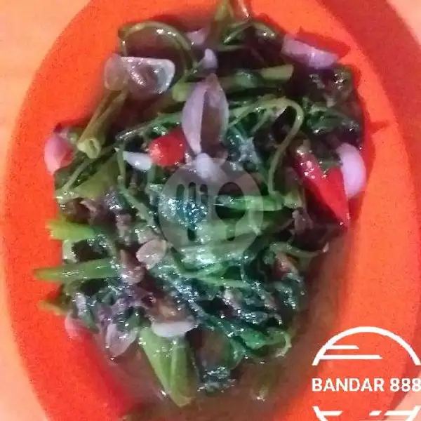 cah kangkung polos | Bandar 888 Sea food Nasi Uduk