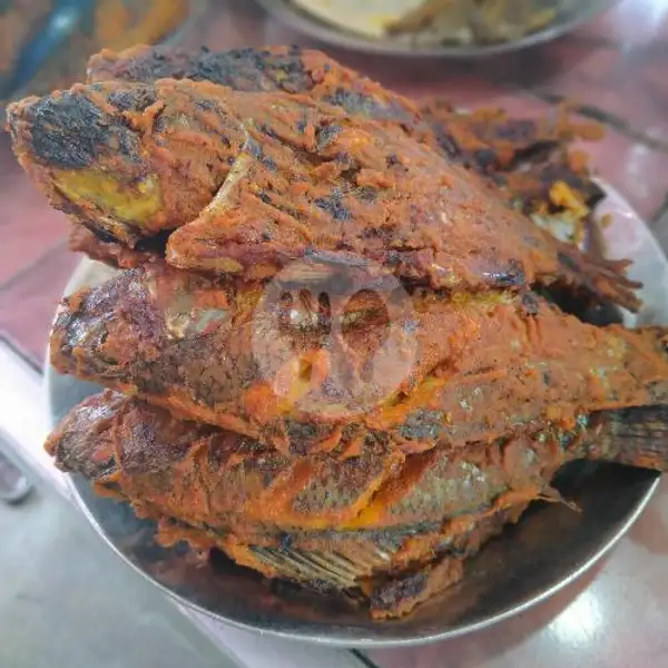 Ikan Mujair Bakar | RM tanjung gadang masakan padang, Baloi Center