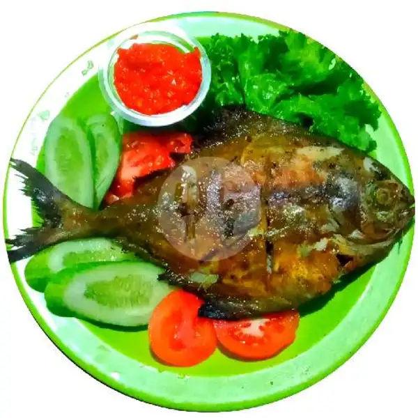 Ikan Bawal Laut Bakar BBQ -/+5 Ons | Gurame & Ayam Bakar Khalif, Ciputat Timur