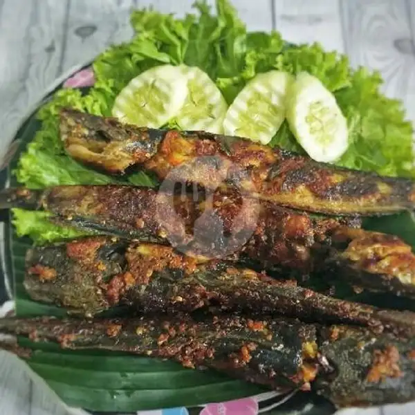 Ikan Lele Bakar | Ayam Geprek DITA