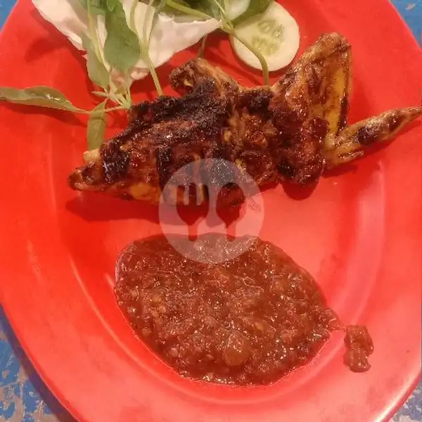 Ayam Bakat | Wong Deso, Krendang Utara