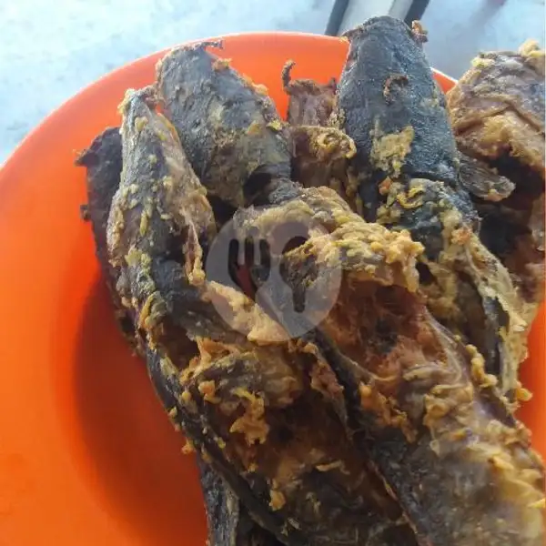 Ikan Lele Goreng | Warung Inang Masakan Padang, Tukad Banyusari