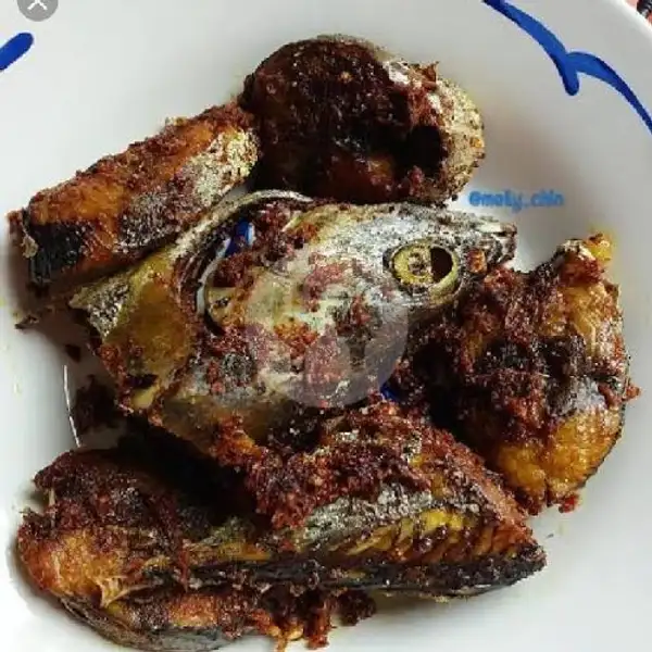 Ikan Tongkol + Nasi Terong Tempe | Warung Azril (Bebek Sinjay), Klojen