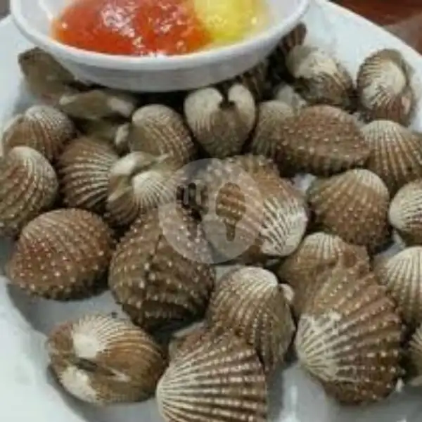 Kerang Dara Rebus | Seafood 68, Medan Satria