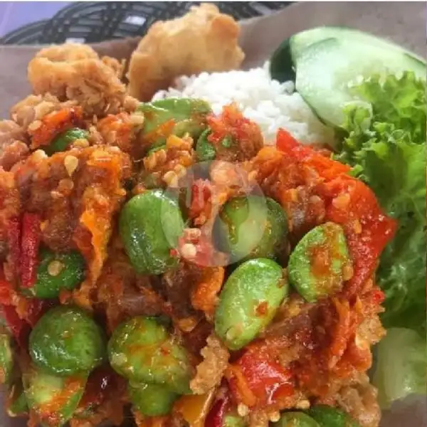 Nasi+Ayam Ramuak Sambal Jengkol/Petei Cabe Merah+Tahu Terong | Pecel Ayam & Ayam Geprek DZ, Gg Mela