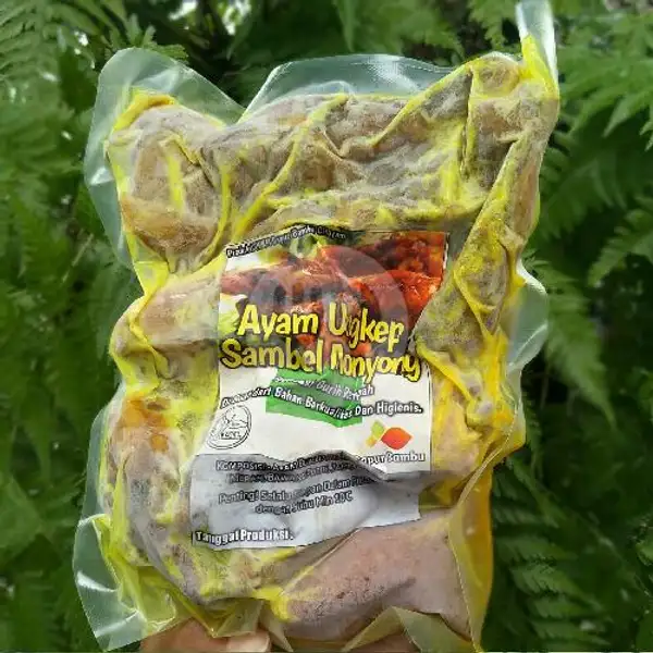 Ayam Ungkep Sambal Monyong Frozen | Alabi Super Juice, Beji