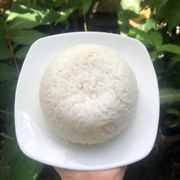 Nasi Putih | Dafi Foodies, P Rakata