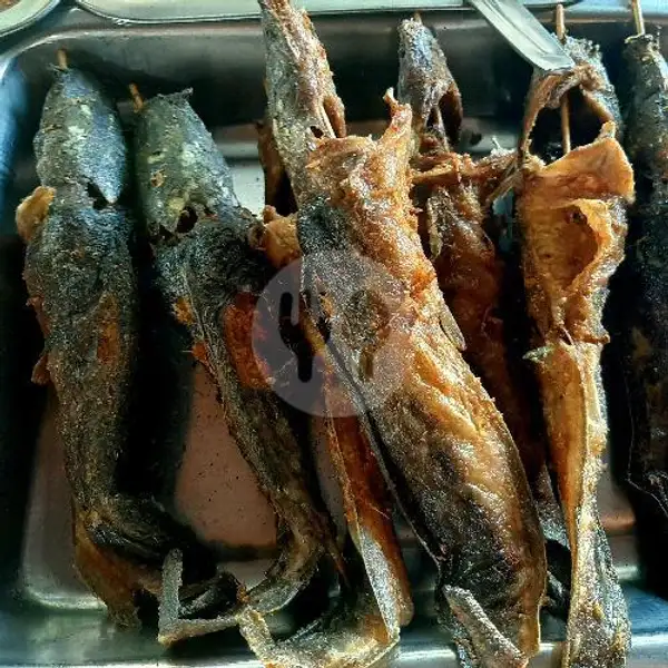 Ikan Lele | Warung Nasi Simpang Pintu, Jl. Kebon Pedes