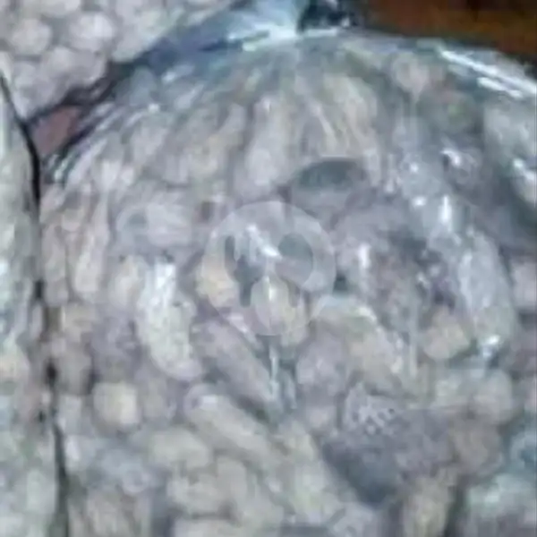 Kacang Kulitan 1/2 Kg | Kacang Sangan Asin Gris, Srikandi