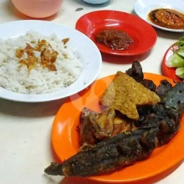 Lele + Nasi Uduk | Ayam Penyet Selera Baru (ANEN) Sp. Surabaya, T Chik Ditiro