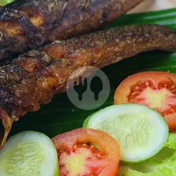 paket ikan lele bakar sambel ndower | Penyet Kedung Mundu, Semarang